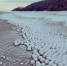29b864af7bc4c9_thumb_main - Sibnovosti.ru