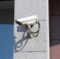 Img_4917_thumb_main - Sibnovosti.ru