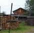 Dsc_2563_thumb_main - Sibnovosti.ru