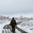 ___________________________thumb_main - Sibnovosti.ru
