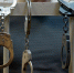 _____________________________thumb_main - Sibnovosti.ru
