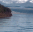 417105231_thumb_main - Sibnovosti.ru