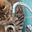 4edb092f9db43d753964e500d4b546b2 - YarskGrad.Ru