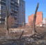 ______thumb_main - Sibnovosti.ru