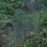 ________thumb_main - Sibnovosti.ru