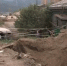 54154154154_thumb_main - Sibnovosti.ru