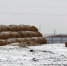 Ox4afztppay_thumb_main - Sibnovosti.ru