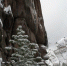 Rkshfrmsoew_thumb_main_thumb_main - Sibnovosti.ru