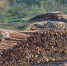____thumb_main - Sibnovosti.ru