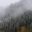 Rian_5635449.lr.ru_thumb_main - Sibnovosti.ru