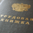 trudoustroystvo3 copy - НИА