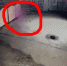 Красноярка на видео обнаружила полтергейст - 1-LINE