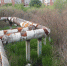 1_thumb_main - Sibnovosti.ru
