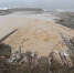 _____thumb_main - Sibnovosti.ru