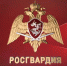ИЗМЕНЕНИЯ В НОРМАТИВНЫХ ПРАВОВЫХ АКТАХ ПРАВИТЕЛЬСТВА РОССИЙСКОЙ ФЕДЕРАЦИИ  ПО ОСУЩЕСТВЛЕНИЮ ФЕДЕРАЛЬНОГО ГОСУДАРСТВЕННОГО КОНТРОЛЯ В 2020 ГОДУ - Росгвардия