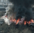 ______thumb_main - Sibnovosti.ru
