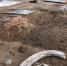 ______thumb_main - Sibnovosti.ru