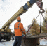 2020-10-01_184513_thumb_main - Sibnovosti.ru