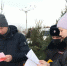 В Красноярском крае проходят рейды по ёлочным базарам - ИА Пресс-Лайн