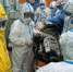 ________________________________________________thumb_main - Sibnovosti.ru