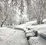 Красноярск накрыл снегопад: фотоподборка - Enisey.Tv