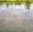 Pyatna_chulim2_thumb_main - Sibnovosti.ru