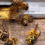 Thumb_thumb_main - Sibnovosti.ru
