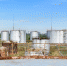 2877685c426c0f728d5992b6ecf30319_thumb_main - Sibnovosti.ru