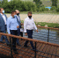 Мэр Красноярска поверил благоустройство правого берега Качи - Наш Красноярский край