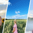 По настоящему теплые фото - NGS24.Ru