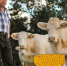 Agence.producteurs.locaux.damien.kuhn.113763.unsplash_thumb_main - Sibnovosti.ru