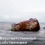 Пользователи соцсетей уличили главу Роприроднадзора в неумении на глаз определять кубометры - ИА Запад24