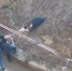 В Красноярске подросток увяз в яме с грязью на улице Партизанской, 1 - Газета Красноярский рабочий