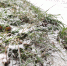 Рабочая неделя в Красноярском крае и Хакасии будет тёплой и ветреной - ИА Запад24