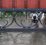 Rian_6625048.lr.ru_thumb_main - Sibnovosti.ru