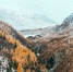 Автор фото: pexels.com, Mikhail Nilov - Газета Красноярский рабочий