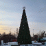 ____________________________12_21__2__thumb_main - Sibnovosti.ru