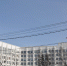 _____1__thumb_main - Sibnovosti.ru