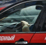 _____________________________thumb_main - Sibnovosti.ru