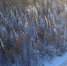 Rian_6751436.lr.ru_thumb_main - Sibnovosti.ru