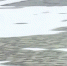 ______________2022-03-05_123243_thumb_main - Sibnovosti.ru
