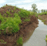 За порчу сельскохозяйственных земель в районе реки Карачаговка в Ачинском районе собственник земельного участка привлечён к административной ответственности - Россельхознадзор