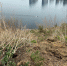 Img_8635_thumb_main - Sibnovosti.ru