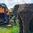 ________________________________0522___________________6__thumb_main - Sibnovosti.ru