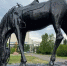 ______________2022-06-02_162514_thumb_main - Sibnovosti.ru