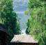 ______________2022-07-13_064435_thumb_main - Sibnovosti.ru