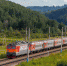 Img_3041_thumb_main - Sibnovosti.ru
