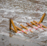3071299.jpg - KrasnoyarskMedia