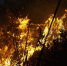 ___________thumb_main - Sibnovosti.ru