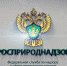 Росприроднадзор проводит показ возможностей подачи заявлений через ЕПГУ о предоставлении лицензии на деятельность в области обращения с отходами и регистрации искусственных островов - Росприроднадзор